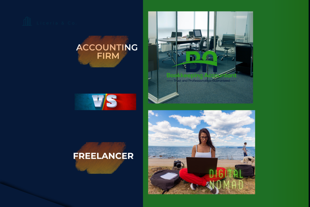 Accounting Firm or a Freelancer